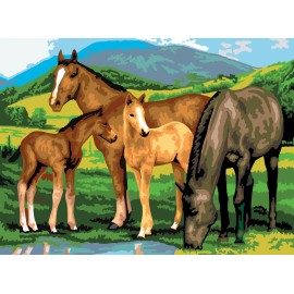 A3 Painting by numbers HORSES AND FOALS
