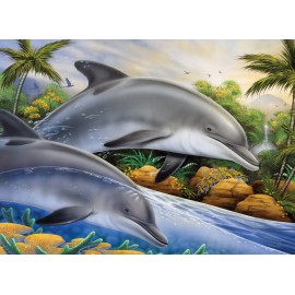 A3 Painting by numbers DOLPHIN ISLAND