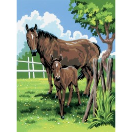 A4 Painting by numbers MARE & FOAL