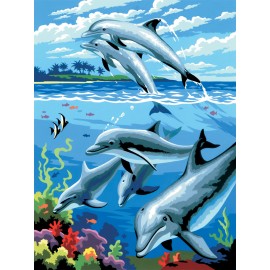 A4 Painting by numbers DOLPHINS