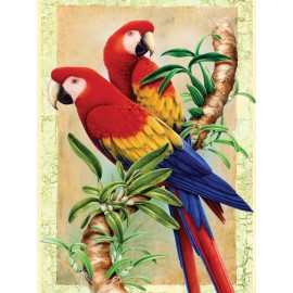 A4 Painting by numbers BAMBOO PARROTS