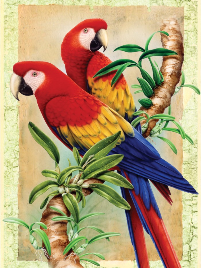 A4 Painting by numbers BAMBOO PARROTS