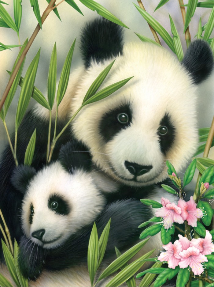 A4 Painting by numbers PANDA & BABY