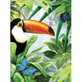 A4 Painting by numbers JUNGLE TOUCAN