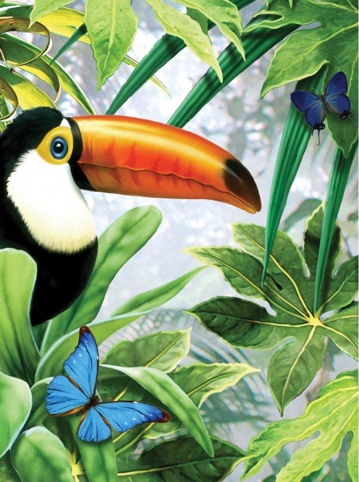 A4 Painting by numbers JUNGLE TOUCAN