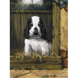 A4 Painting by numbers SPANIEL PUPPY