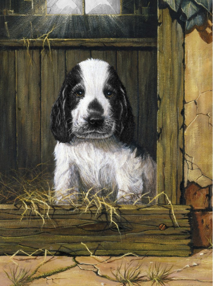 A4 Painting by numbers SPANIEL PUPPY
