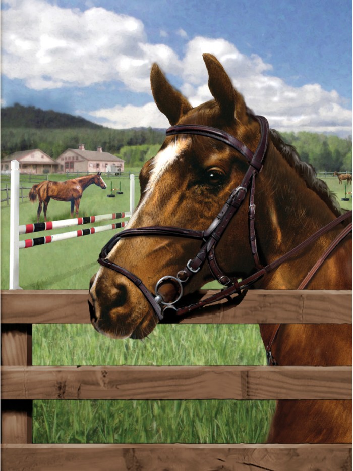 A4 Painting by numbers EQUINE PADDOCK