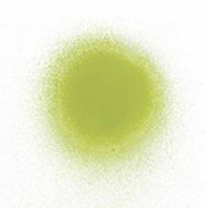 Vert Verveine - Spring Green Izink Dye Spray by Seth Apter 