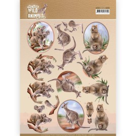 Kangaroo Wild Animals Outback 3D Cutting Sheet by Amy Design