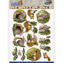 Rabbit - 3D Cutting Sheet Forest Animals by Amy Design