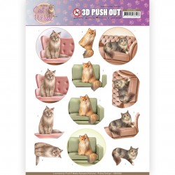 Cat's World - AD