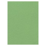 Cardstock 270 grs -50 x 70 cm - Apple Green