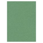 Cardstock 270 grs -50 x 70 cm - Green