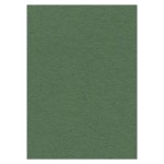 Cardstock 270 grs -50 x 70 cm - Forest Green