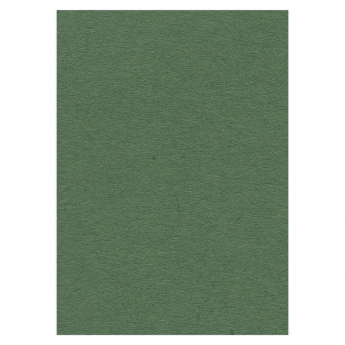 Cardstock 270 grs -50 x 70 cm - Forest Green