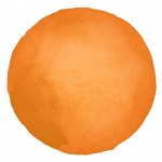 Oranje | Sunset Goldfish  Alcoholinkt