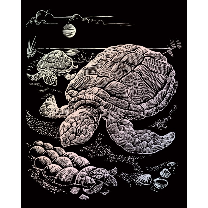 SEA TURTLE HOLOGRAPHIC ENGRAVING  