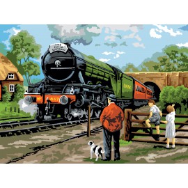 STEAM TRAIN A3 Painting by numbers 