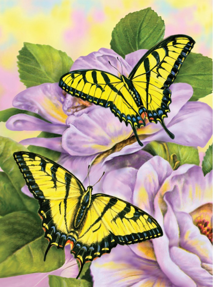 SWALLOWTAIL BUTTERFLIES A4 Painting by numbers