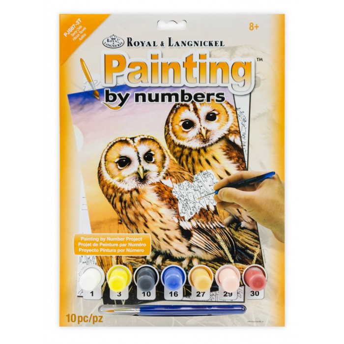 Painting by numbers TAWNY OWLS 