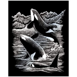 ORCA WHALES Silver Engraving