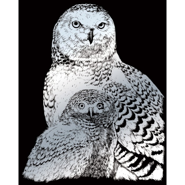 SNOWY OWLS Silver Engraving 