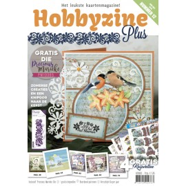 Hobbyzine Plus 12
