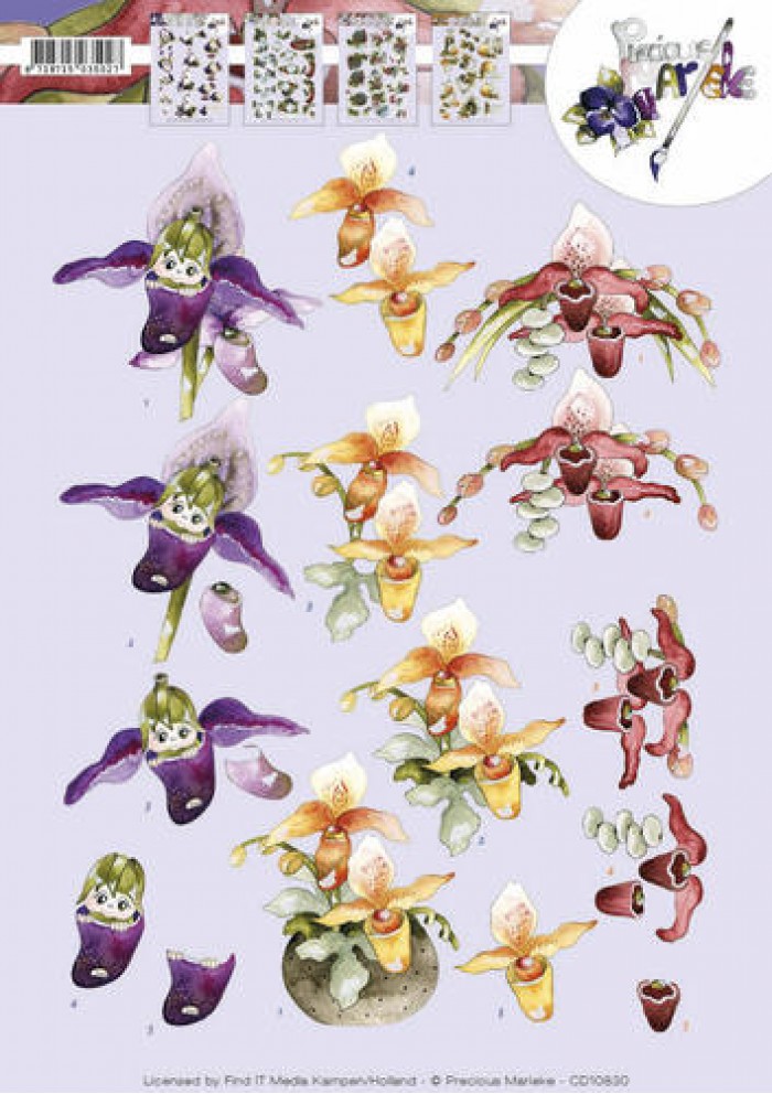 Orchideeën 3D-Knipvel Precious Marieke