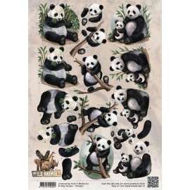 Pandas- Wild Animals 3D-Knipvel Amy Design