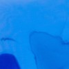 Blue Foil (Mirror Finish)  - 125mm x 5m | 4.9in x 16.4ft