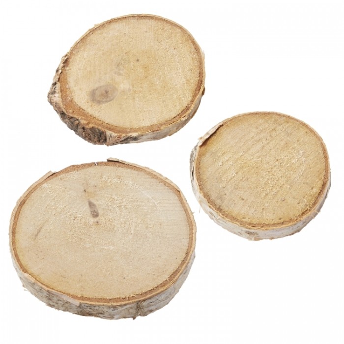 Berkenhout schijven, verschillende maten, max. 4 cm, buidel met 4 st