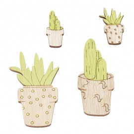 Cactussen, ca. 2,5 - 5,5 cm, buidel met 4 st