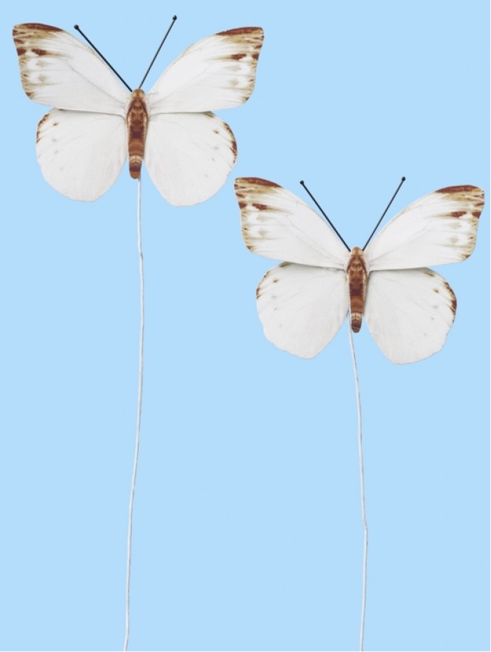 Butterflies III, Btl. a 2 St.