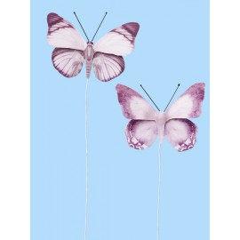 Butterflies VII, Btl. a 2 St.