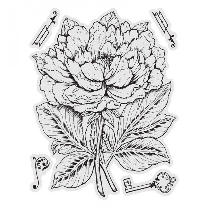 Peony Stamp and Colour Set (5pc) 