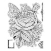 Rose Stamp and Colour Set (4pc)