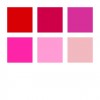 pigment brush - kartonnen etui 6 st reds and pinks