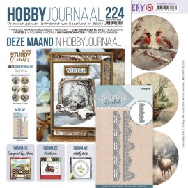 Hobbyjournaal SET 224