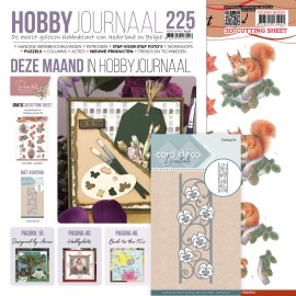 Hobbyjournaal SET 225