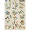 3D Cutting Sheet - Jeanine's Art - Vintage Birds - Mini
