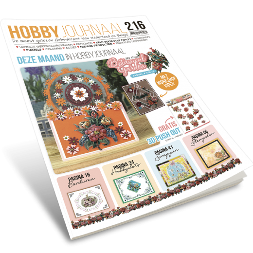 Hobbyjournaal 216 
