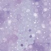 Paperpack - Berries Beauties - Mystic Winter - Design