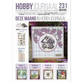 Hobbyjournaal 231