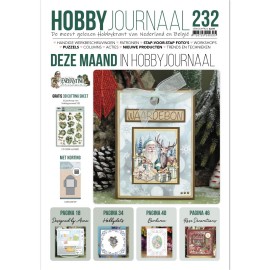 Hobbyjournaal 232