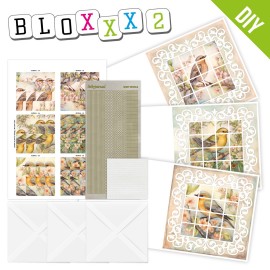 BLPP002 - Bloxxx 2 - Spring Birds