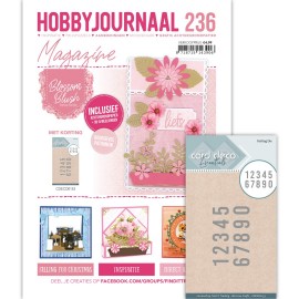 SET Hobbyjournaal 236