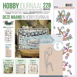 SET Hobbyjournaal 228