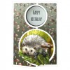 Scrap and Do Simply the Best - Amy Design - Forest Animals