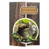 Scrap and Do Simply the Best - Amy Design - Forest Animals